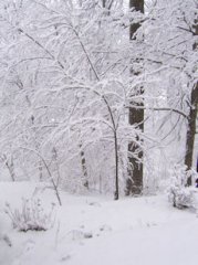 snow1_small